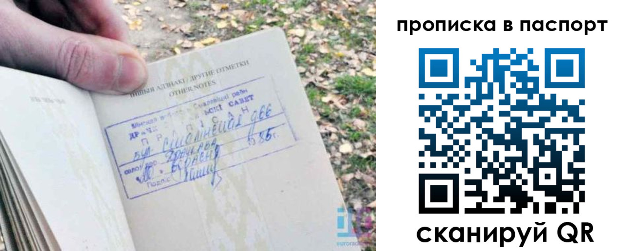 купить прописку в Зернограде